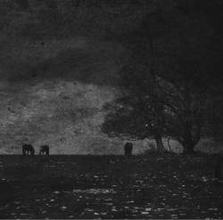 Echancrure : Atrabilis - Échancrure